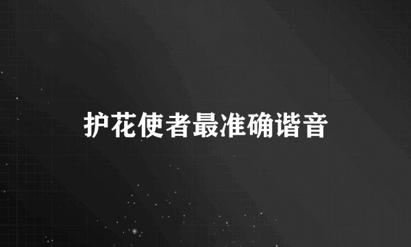 护花使者最准确谐音