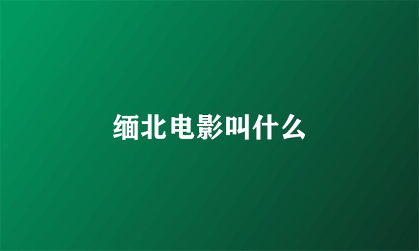 缅北电影叫什么