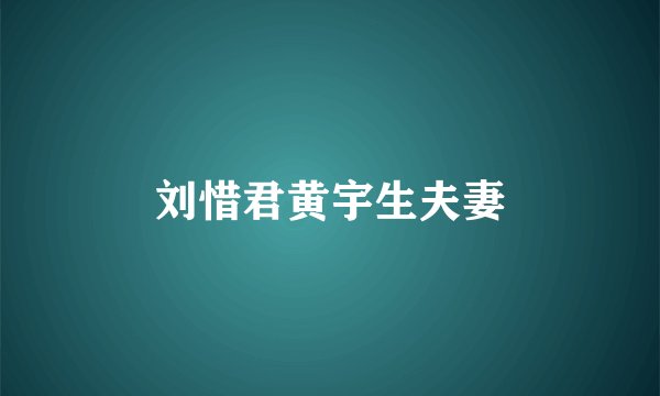 刘惜君黄宇生夫妻