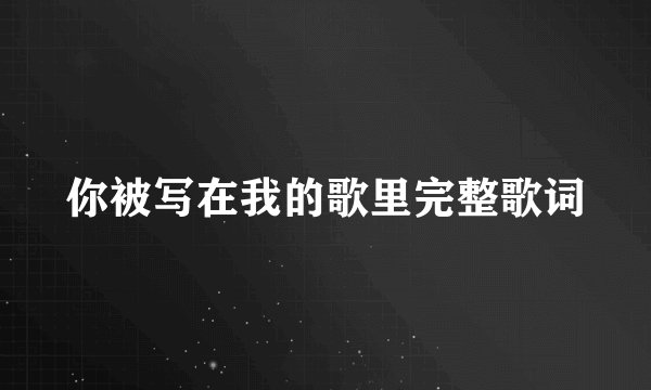 你被写在我的歌里完整歌词