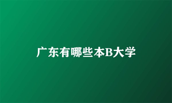 广东有哪些本B大学