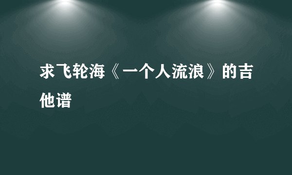 求飞轮海《一个人流浪》的吉他谱