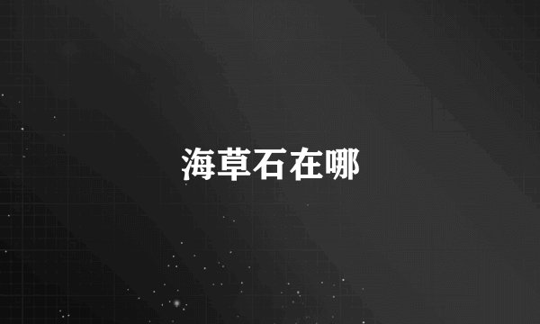 海草石在哪