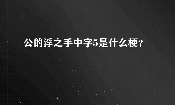 公的浮之手中字5是什么梗？