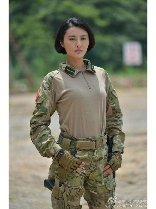 特种兵之火凤凰大结局（讲述了什么故事）