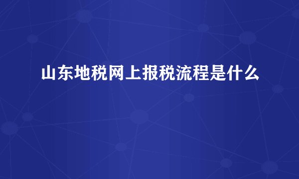 山东地税网上报税流程是什么