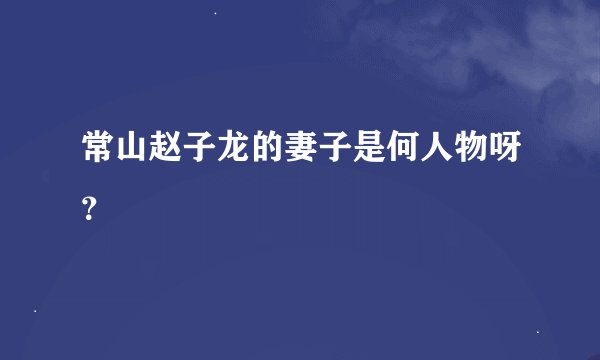 常山赵子龙的妻子是何人物呀？