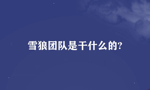 雪狼团队是干什么的?