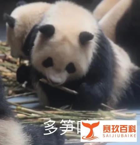 为逃做家务，男孩举报父亲雇佣童工遭民警怒怼：干点活怎么了？！