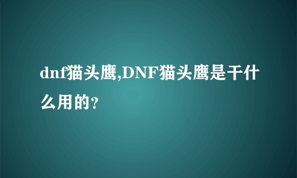 dnf猫头鹰,DNF猫头鹰是干什么用的？