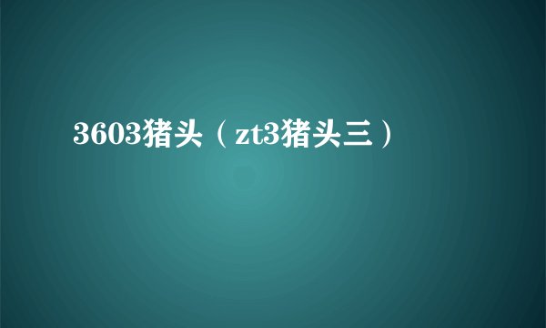 3603猪头（zt3猪头三）