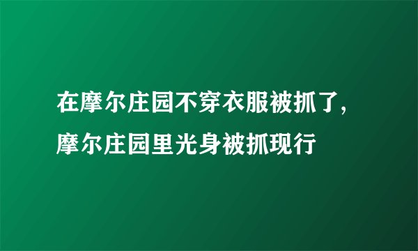 在摩尔庄园不穿衣服被抓了,摩尔庄园里光身被抓现行