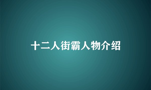 十二人街霸人物介绍