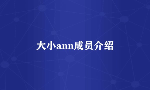 大小ann成员介绍