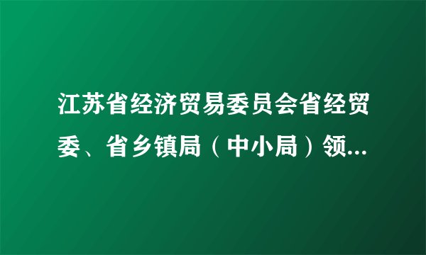 江苏省经济贸易委员会省经贸委、省乡镇局（中小局）领导及分工