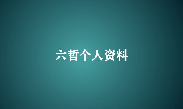 六哲个人资料