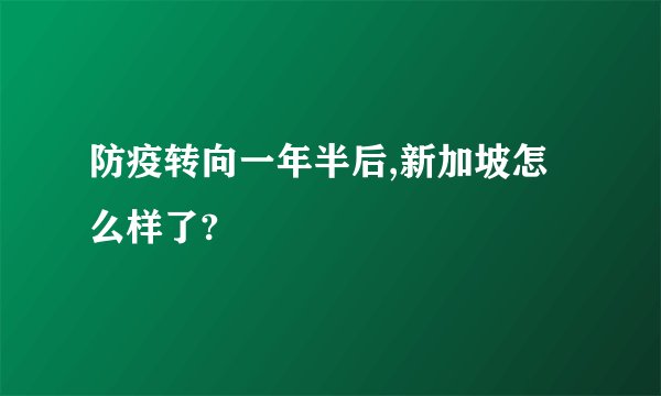 防疫转向一年半后,新加坡怎么样了?