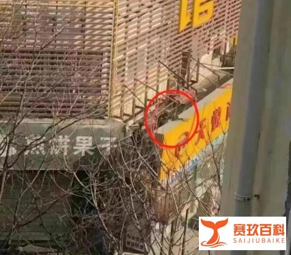 「透视社·民生沸点」山东泰安一银行发生抢劫案!警方通报:嫌犯已被击毙