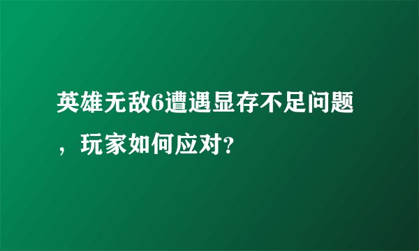 英雄无敌6遭遇显存不足问题，玩家如何应对？