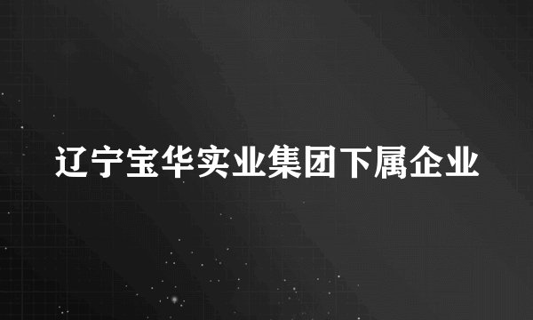 辽宁宝华实业集团下属企业