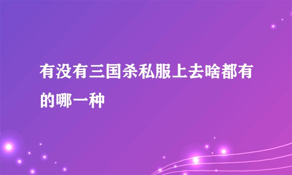 有没有三国杀私服上去啥都有的哪一种