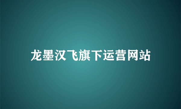 龙墨汉飞旗下运营网站