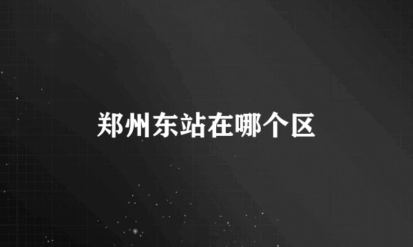 郑州东站在哪个区
