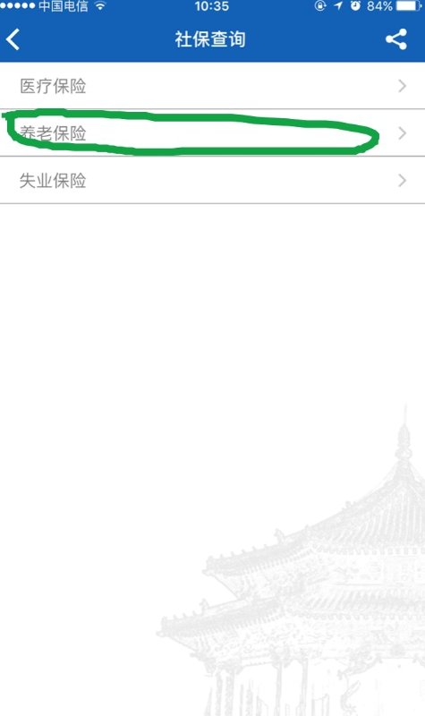 网上如何查询沈阳市养老保险
