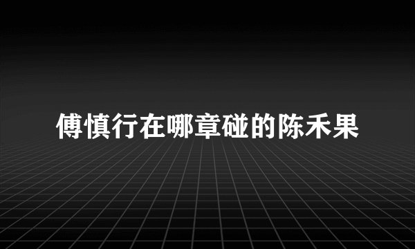 傅慎行在哪章碰的陈禾果