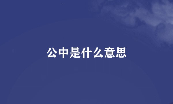 公中是什么意思