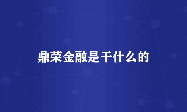 鼎荣金融是干什么的