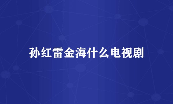 孙红雷金海什么电视剧