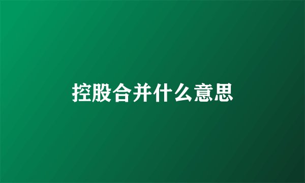 控股合并什么意思
