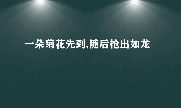 一朵菊花先到,随后枪出如龙