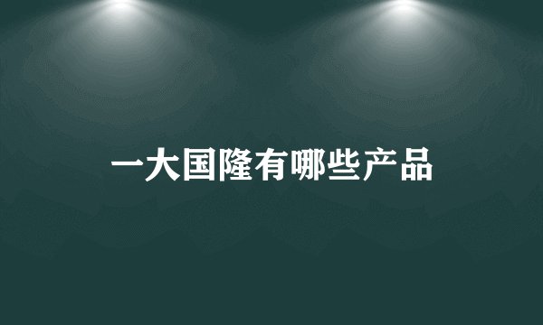 一大国隆有哪些产品