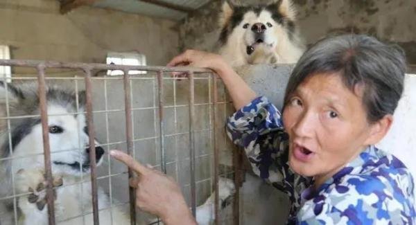 老人救狗20年 欠60万卖房住亲戚家 这是咋情况？