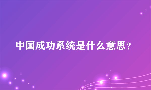 中国成功系统是什么意思？