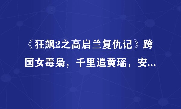 《狂飙2之高启兰复仇记》跨国女毒枭，千里追黄瑶，安欣重披战衣