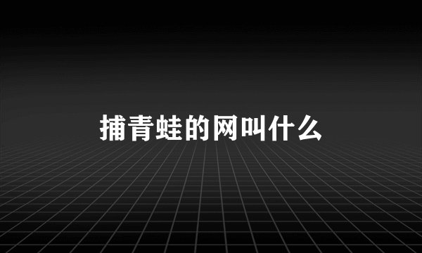 捕青蛙的网叫什么
