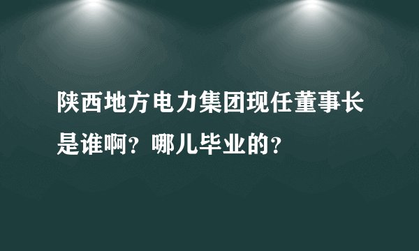 陕西地方电力集团现任董事长是谁啊？哪儿毕业的？