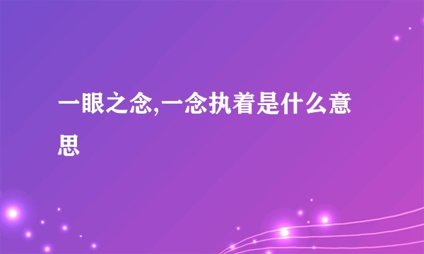 一眼之念,一念执着是什么意思
