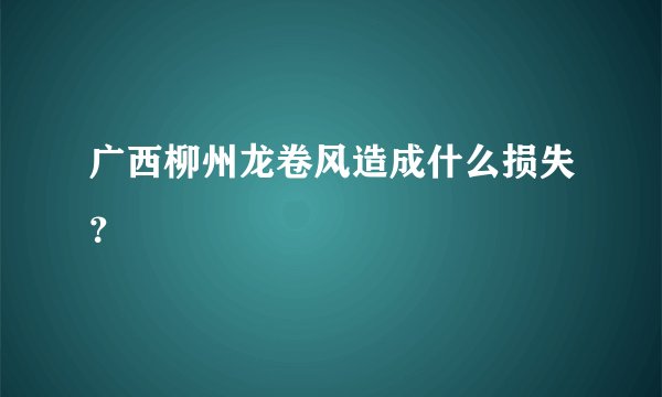 广西柳州龙卷风造成什么损失？