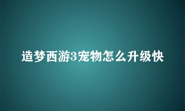 造梦西游3宠物怎么升级快