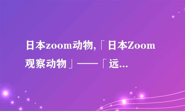 日本zoom动物,「日本Zoom观察动物」——「远程观察日本动物」