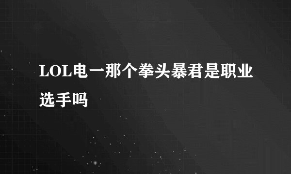 LOL电一那个拳头暴君是职业选手吗