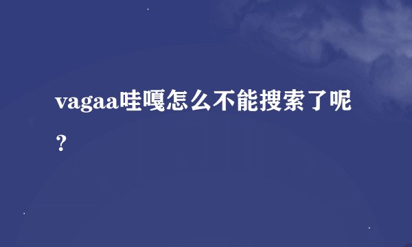 vagaa哇嘎怎么不能搜索了呢？