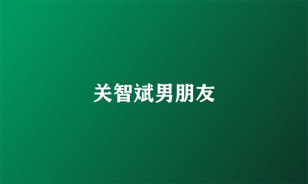 关智斌男朋友