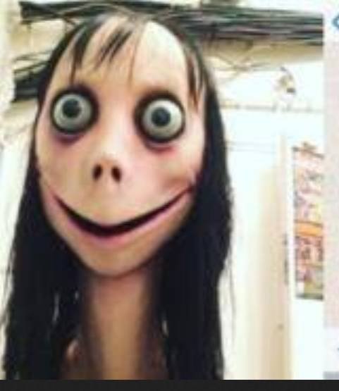 momo是什么？