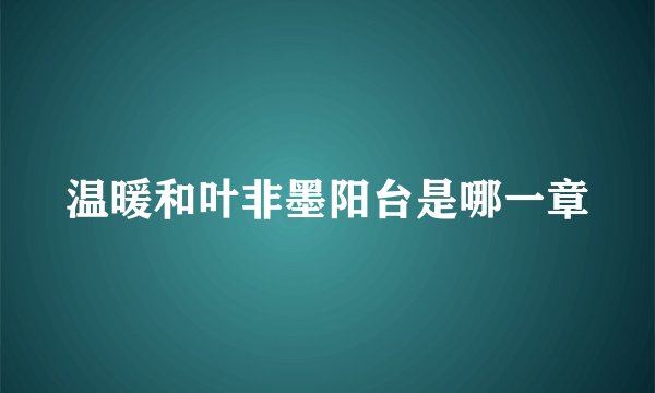 温暖和叶非墨阳台是哪一章