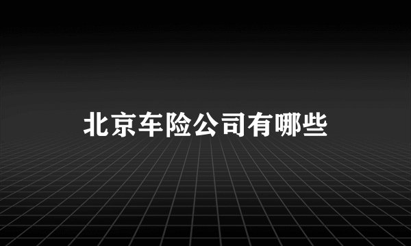 北京车险公司有哪些